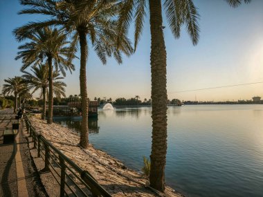 Sahili kaplayan palmiye ağaçları, berrak mavi bir gökyüzü ve barışçıl bir atmosfer yaratan uzak bir çeşme ile sakin bir göl manzarası..