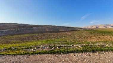 Arka planda kayalık tepelerle çevrili berrak mavi gökyüzünün altında çimenli bir tarlaya sahip sakin bir manzara..