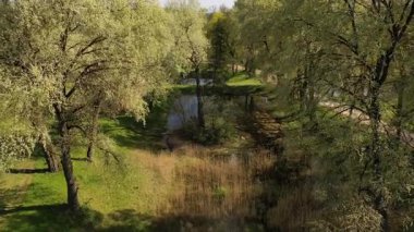 Çimlerle ve yemyeşil ağaçlarla çevrili küçük bir göleti olan sakin bir park manzarası..
