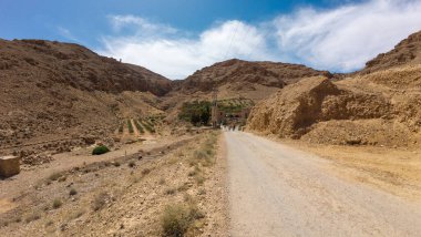 Açık mavi gökyüzünün altında kayalık tepelerle çevrili küçük bir vahaya uzanan toprak yolu olan bir çöl manzarası..