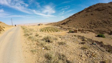 Toprak yolu olan kırsal bir çöl manzarası, seyrek bitki örtüsü ve mavi gökyüzünün altında uzak bir ufuk..