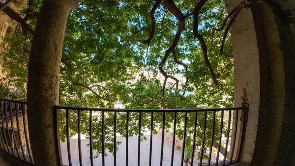 Taştan bir kemer deliğinden bak, yemyeşil ağaç dalları ve metal korkulukları var..