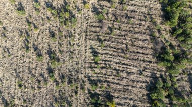 Kuru, çorak bir arazinin havadan görünüşü seyrek bitki örtüsü ve yeşil çalılar..