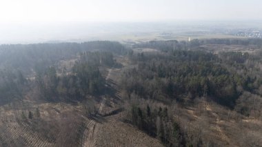 Bitmeyen yeşil ve yaprak döken ağaçların, kısmen temizlenmiş alanların ve puslu bir gökyüzünün altındaki uzak tarlaların karışımından oluşan bir orman manzarası..
