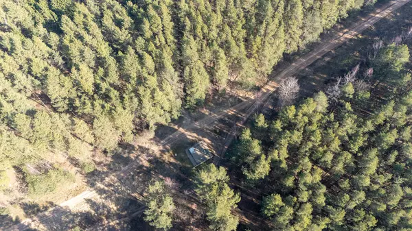 Küçük bir açıklığı ve ağaçların arasından geçen toprak yolu olan sık bir ormanın havadan görünüşü..