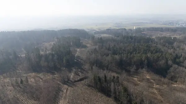 Bitmeyen yeşil ve yaprak döken ağaçların, kısmen temizlenmiş alanların ve puslu bir gökyüzünün altındaki uzak tarlaların karışımından oluşan bir orman manzarası..