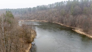 İlkbaharın başlarında ormanlık bir arazide akan sakin bir nehir..