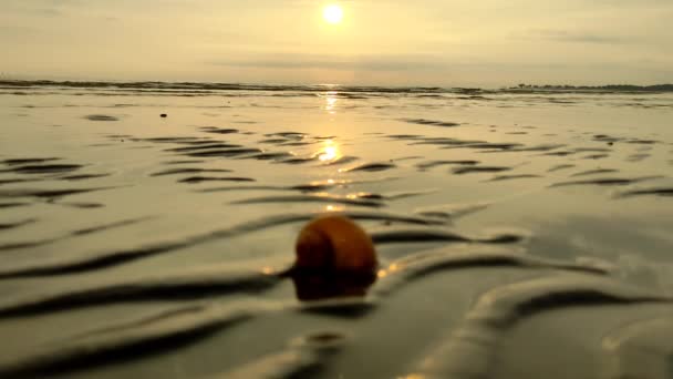 日没の午後のビーチの小さな波 — ストック動画