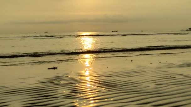 Små Vågor Stranden Eftermiddagen Vid Solnedgången — Stockvideo