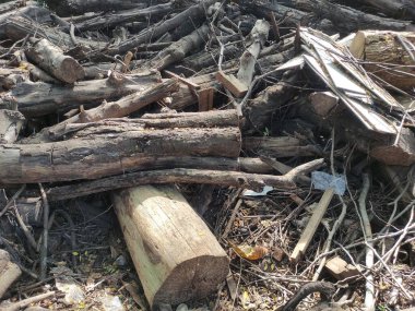 Çevresel çizimler için uygun kuru ölü ahşap dokuyu kapat