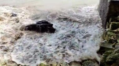 Dalgalarda süzülen odun