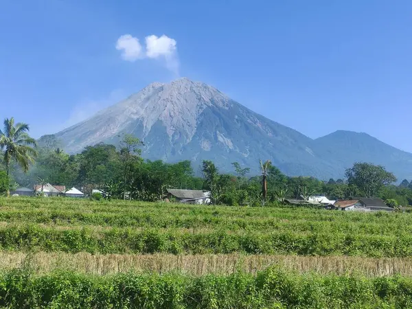 Semeru Dağı, Endonezya 'nın Java adasındaki en yüksek dağ.