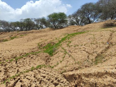Kuru çamurlu toprağın dokusu açık kahverengidir.