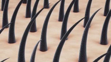 Yoğun saç ve deri, saç tedavisi konsepti, 3 boyutlu görüntüleme..