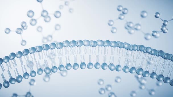 Прозрачная Структура Цитомембраны Рендеринг — стоковое видео