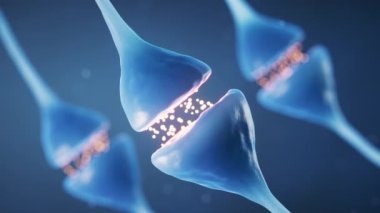 Nöron hücresi sinapsı, biyoloji konsepti, 3D görüntüleme..