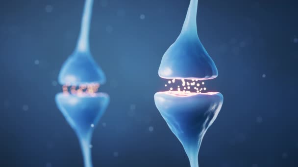 Синапс Нейронных Клеток Концепция Биологии Рендеринг — стоковое видео