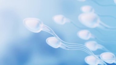 İnsan sperm hücreleri, 3D görüntüleme.