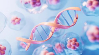 DNA biyolojisi yapısı ve şeffaf hücre, 3D görüntüleme.