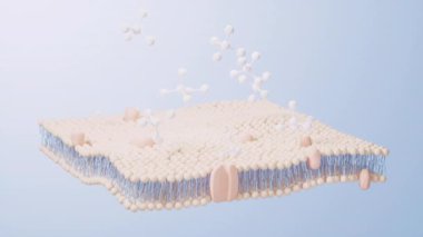 Hücre zarı yapısı arka planı, 3d oluşturma.