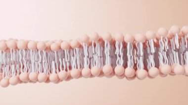 Hücre zarı yapısı arka planı, 3d oluşturma.