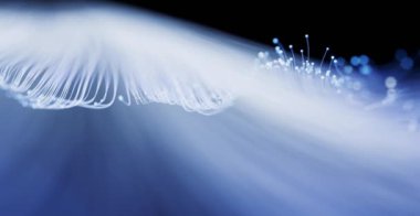 Akan neon eğri çizgileri arka plan, 3d oluşturma.