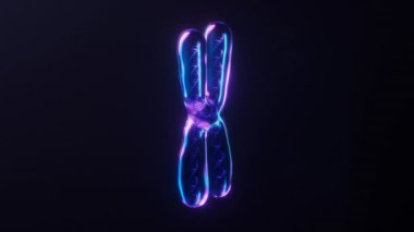 Koyu neon ışık efektli kromozomun döngü animasyonu, 3D görüntüleme.