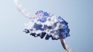 Biyolojik konsepte sahip RNA ve proteinler, 3 boyutlu oluşturma.