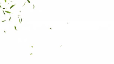 Alfa kanallı yeşil doğal çay yaprakları, 3 boyutlu..