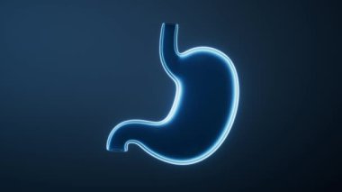 Şeffaf mavi midenin döngü animasyonu, 3D görüntüleme.