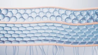 Kozmetik konsepti ile deri hücre arkaplanı, 3D görüntüleme.