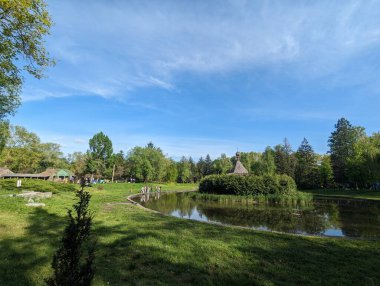 Doğanın güzel manzarası