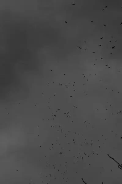 Gökyüzünün arka planında siyah ve beyaz bulutlar