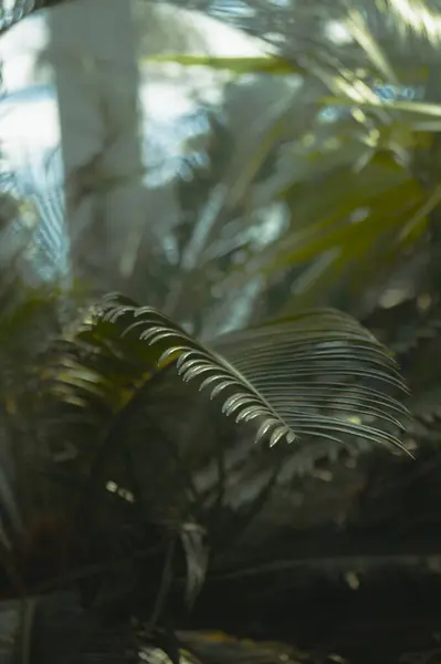 soyut yeşil yaprak arkaplanı.