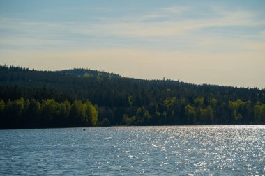 Ön planda parlak bir göl sisli bir gökyüzünün altında, bol güneş ışığını yansıtıyor. Suyun yüzeyi ışıldayan ışıkla canlıdır, bu da desenli röfle deseni oluşturur. Orta yol, distayı çevreleyen yemyeşil, karanlık bir orman tarafından belirlenir.