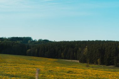Muhtemelen kır çiçekleriyle kaplı yeşil ve sarı eğimli geniş bir ön plan, sık ve karanlık bir orman hattına doğru uzanıyor. Ormanın yukarısında ufuk, uzak tepeler ve açık bir yer olarak tanımlanır, dostum.