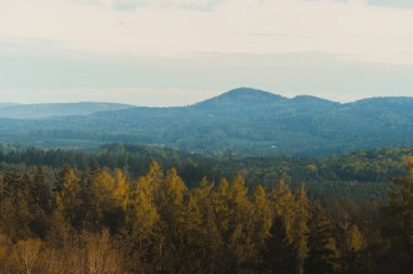 Yoğun bir ormanın ön planında, bazı ağaçlar parlak altın-yeşil yapraklar sergiliyor, muhtemelen alçak bir güneş tarafından aydınlatılıyor. Bunun ötesinde, koyu yeşil ve mavi renkli ağaçların karışımıyla kaplı engin, yuvarlanan tepeler uzanıyor.