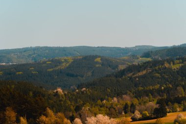 Yoğun ormanlarla kaplı kayan tepeler berrak, soluk mavi bir gökyüzünün altında sisli bir ufka doğru uzanıyor. Önplanda, büyük bir ağacın zengin, altın yeşili yaprakları görülebilir, ebediyetin koyu yeşillikleriyle çelişir. 