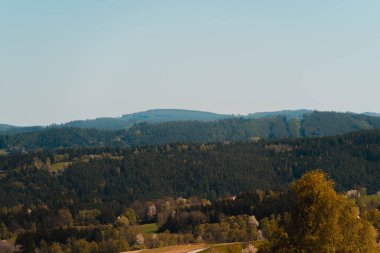 Yoğun ormanlarla kaplı kayan tepeler berrak, soluk mavi bir gökyüzünün altında sisli bir ufka doğru uzanıyor. Önplanda, büyük bir ağacın zengin, altın yeşili yaprakları görülebilir, ebediyetin koyu yeşillikleriyle çelişir. 