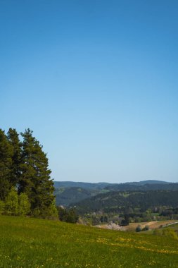 el değmemiş, parlak mavi bir gökyüzü. Ön planda, dağınık sarı kır çiçekleriyle dolu yeşil bir tarla, soldan hafif yamaçlar, yüksek yeşil ağaçların koyu yeşil yapraklarıyla çevrelenmiş. Orta yol pitoresk bir vadiyi gözler önüne seriyor.