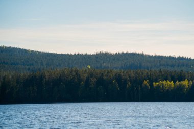 Parlak bir gökyüzünün altında engin ve yoğun bir ormanla çevrili sakin bir gölün yatay bileşimi. Ön planda gölün sakin, mavi suları hakim, hafif dalgalanmalar güneş ışığını yakalıyor. Koyu, koyu yeşil ağaçlardan oluşan bir çizgi.
