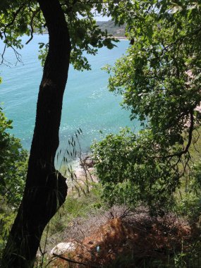 Ortona, Abruzzo yakınlarındaki Adriyatik kıyı şeridi boyunca manzaralı turkuaz suları çevreleyen yeşil yapraklar ve ağaç dalları