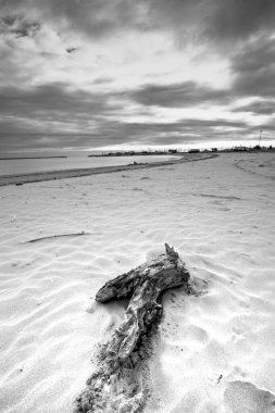 Solgun kumda dinlenen solgun dallar, ahşap iskele arkasında uzanan bulutlu ufuk, tek renkli kıyı manzarası.