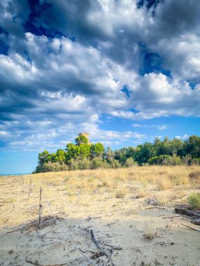 Tarihsel Torre di Cerrano gözlem kulesi kumlu kıyı şeridi üzerinde yükseliyor, Pineto, Abruzzo 'da bitki örtüsü kıyı manzarası, bulutlu gökyüzünün altında.