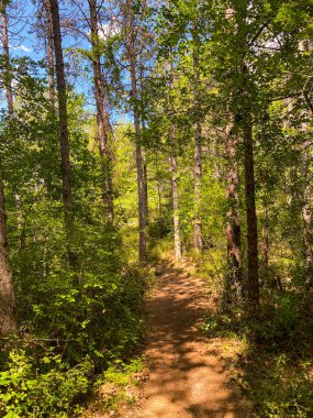 Huzurlu doğada dolanan manzara yolu, İtalya 'nın sakin ormanlarıyla çevrili Abruzzo' nun bereketli manzaralarında keşif yapmaya davet ediyor.