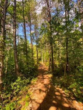 İtalya 'nın Abruzzo kentindeki yemyeşil bir ormanda gezinen manzara yürüyüşü, keşif ve sükuneti davet ediyor.