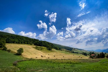 Yuvarlak saman balyaları, bir biçilmiş tarlaya yuva yapmış, canlı mavi gökyüzünün altında, tüylü beyaz bulutlarla benekli, görkemli bir tepe manzarası.