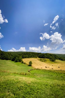 Yuvarlak saman balyaları yeni kesilmiş bir tarlayı dolduruyor. Yuvarlanan tepelerin arasında ve tüylü beyaz bulutlarla benekli canlı mavi bir gökyüzünün altında.