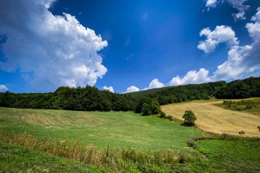 Idyllic kırsal arazisi ekilmiş tarlaları ve yazın yuvarlanan tepeleri kaplayan ağaçları beyaz bulutlu mavi gökyüzünün altında gösteriyor.