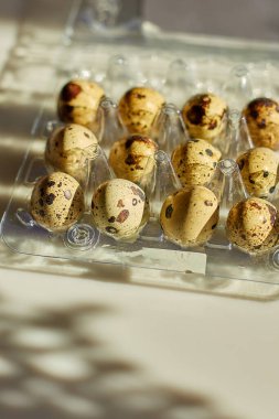 Beyaz arka planda bıldırcın yumurtalı karton kutu, sert güneş ışığı, organik yumurta paketi ürünü..